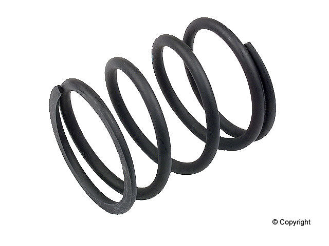 Genuine Parts Company Auto Trans Mount Spring