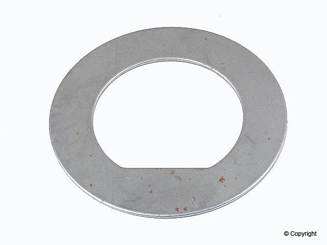 Genuine Parts Company Axle Nut Lock Plate