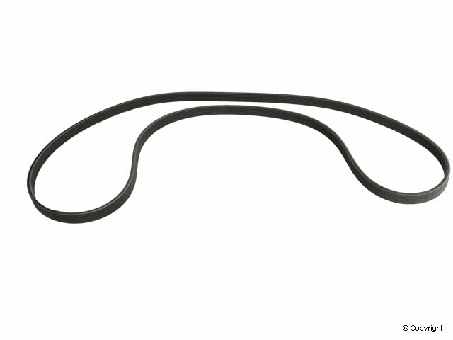 Genuine Parts Company Serpentine Belt