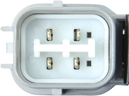 Genuine Parts Company Tail Light