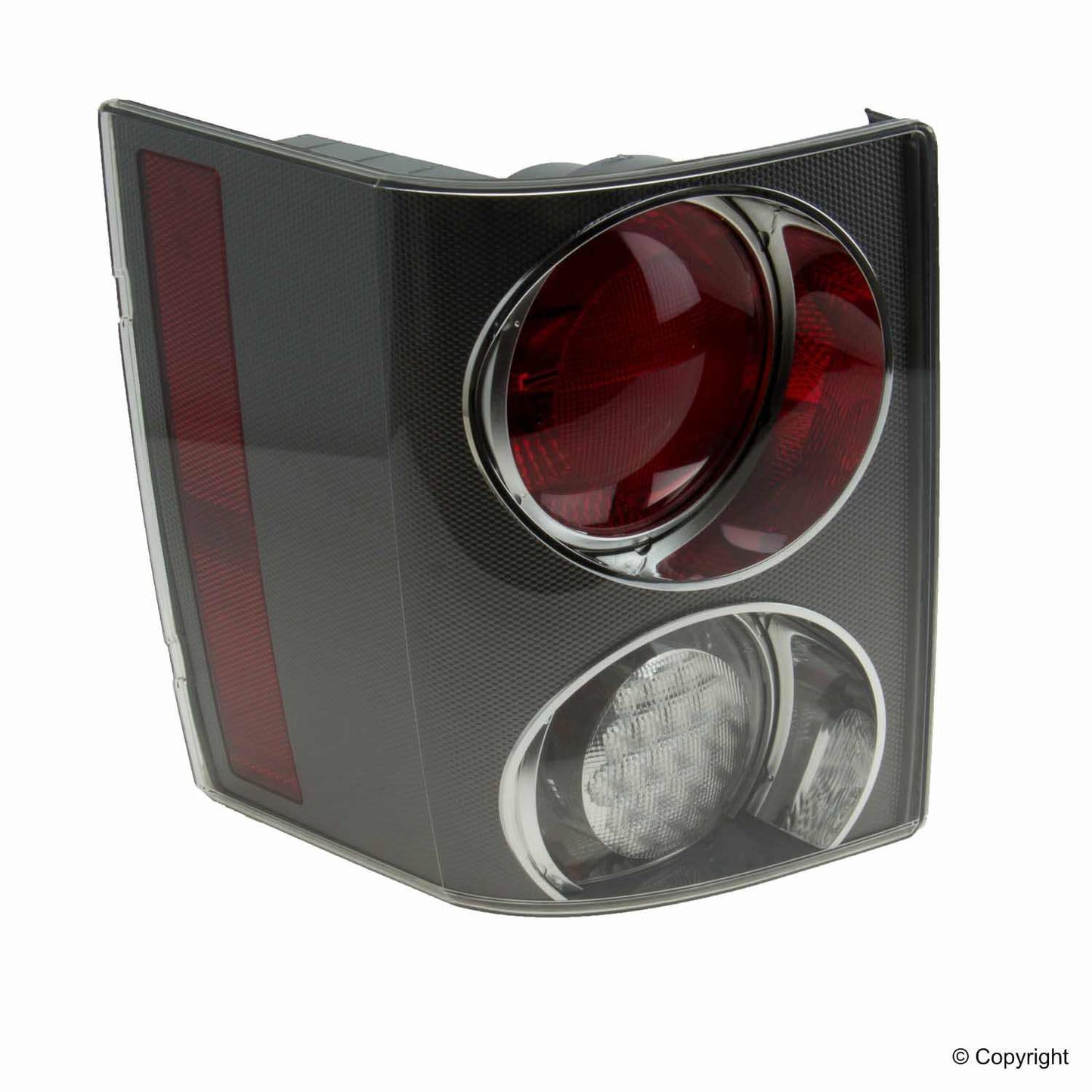 Genuine Parts Company Tail Light