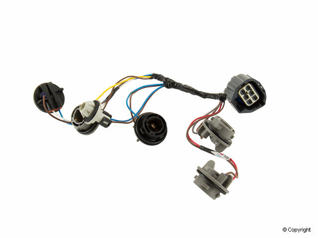 Genuine Parts Company Tail Light Harness