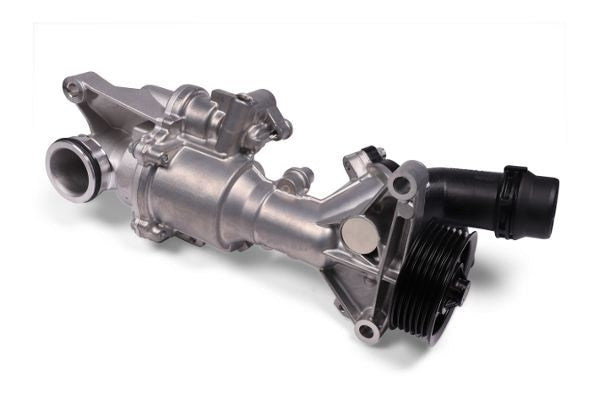 Hepu P1574