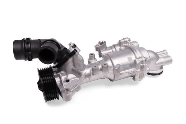 Hepu P1574