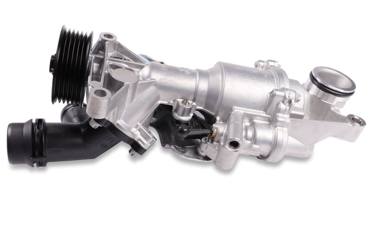 Hepu P1575