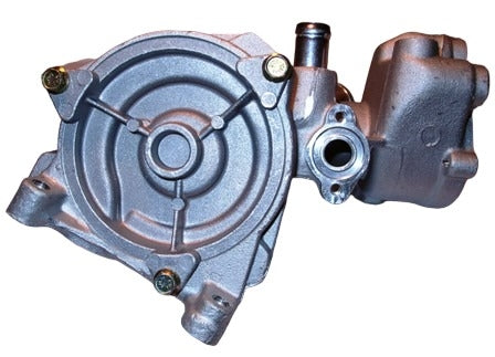 Hepu P196