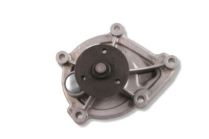 Hepu P495