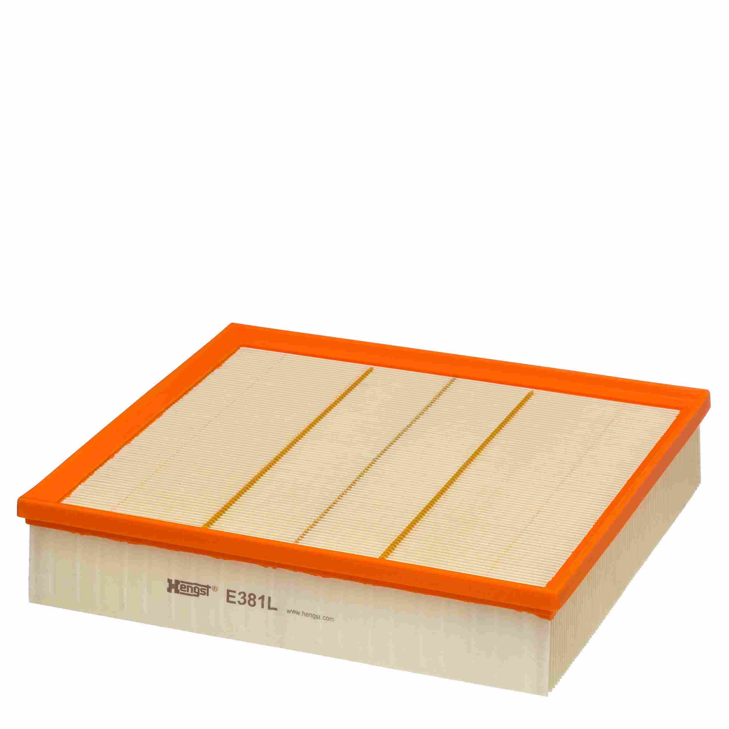 Hengst Air Filter