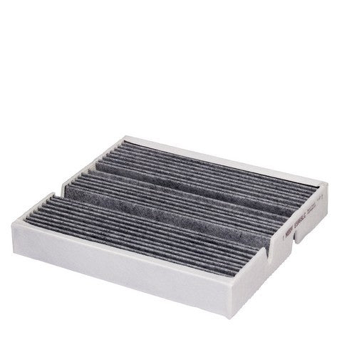 Hengst E5965LC