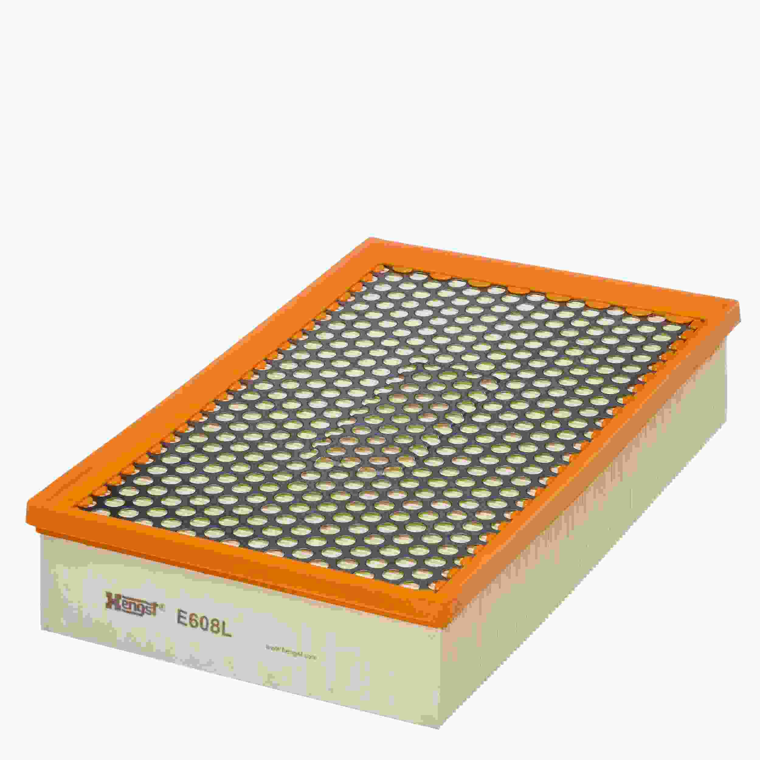 Hengst Air Filter