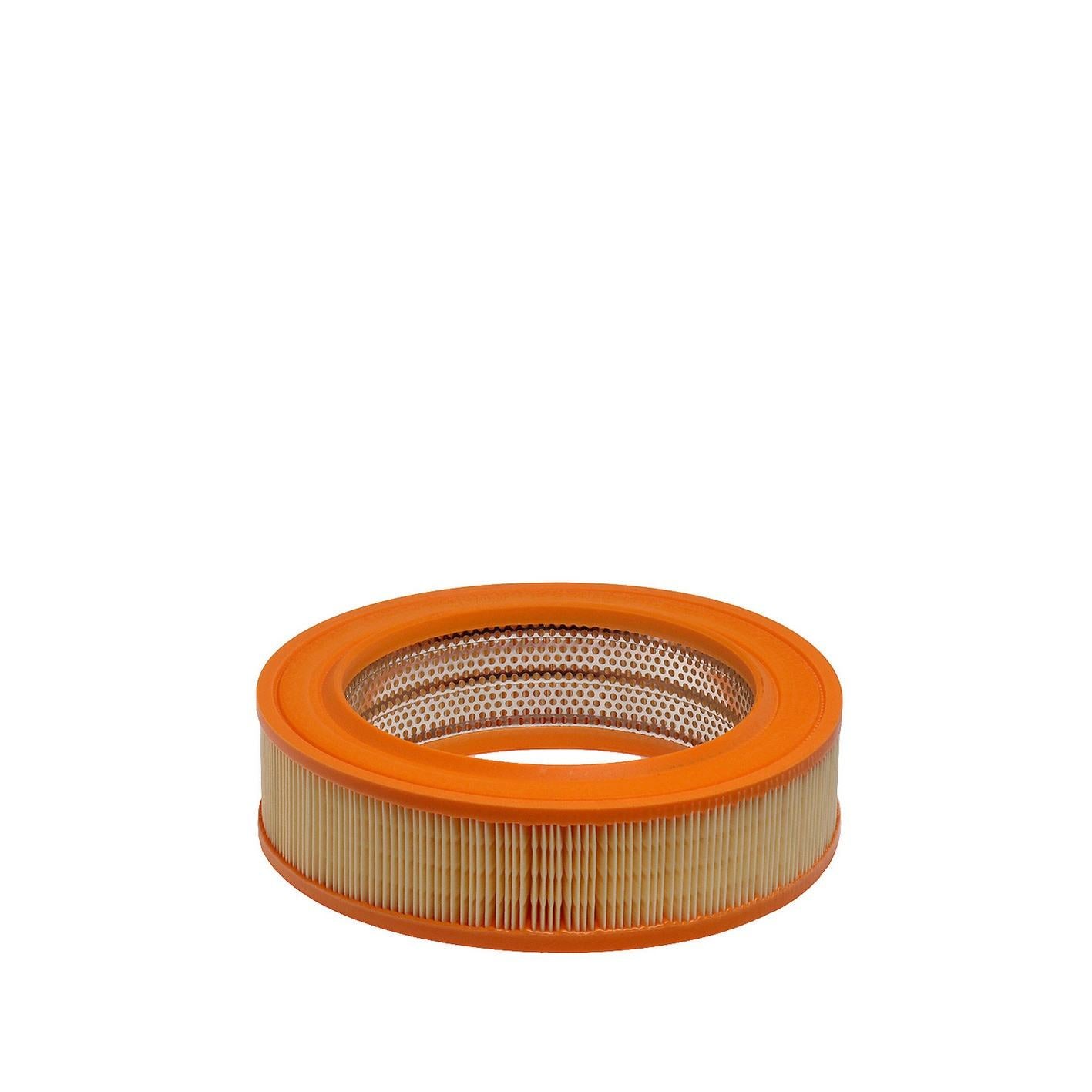 Hengst Air Filter E87L01