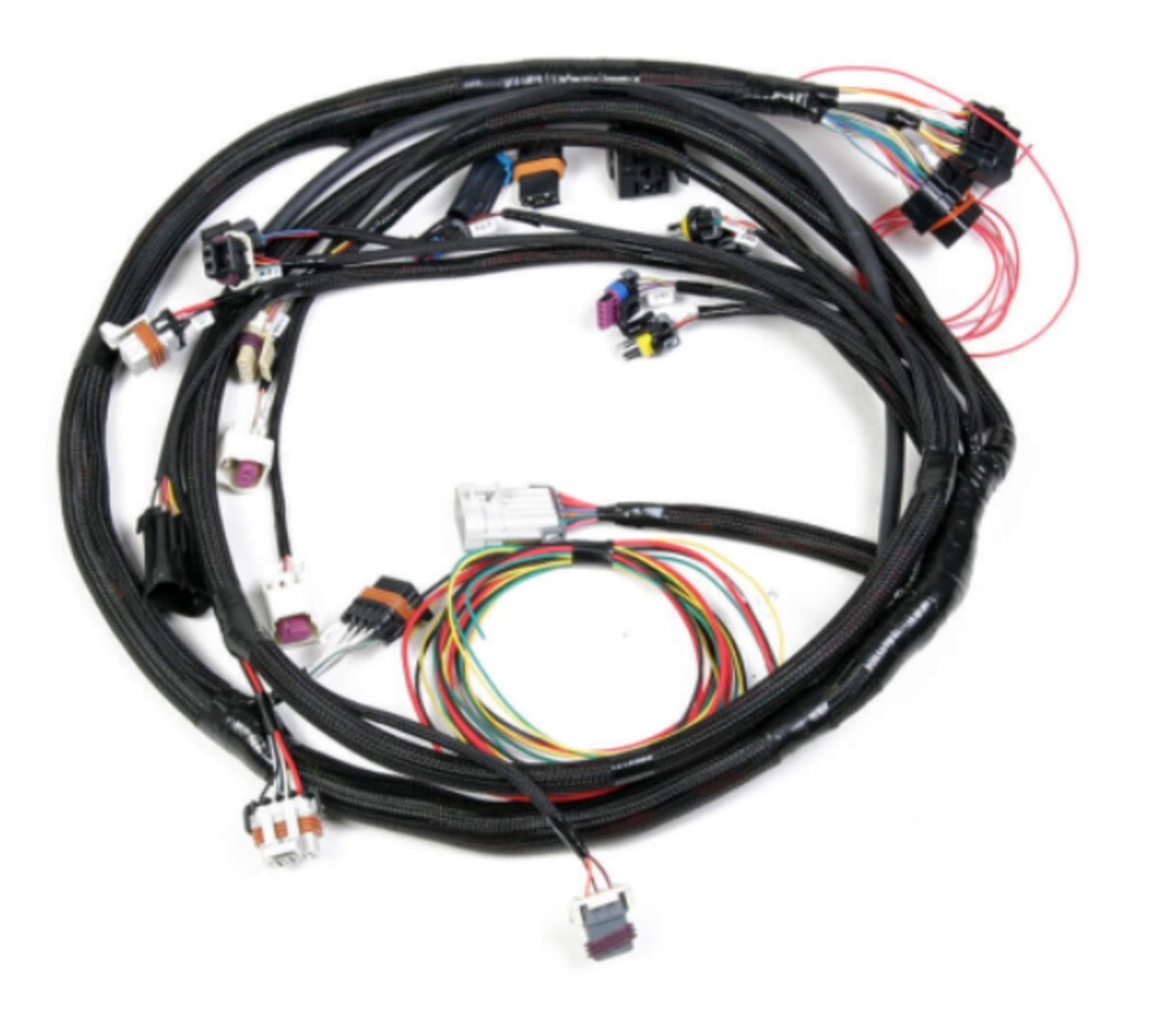 Holley Engine Main Harness Ford 5.0L/5.8L Wiring Harnesses Engine Wiring Harnesses main image