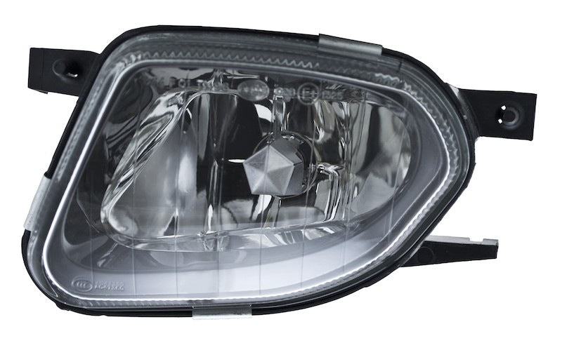 Hella Fog Light Assembly 008275071