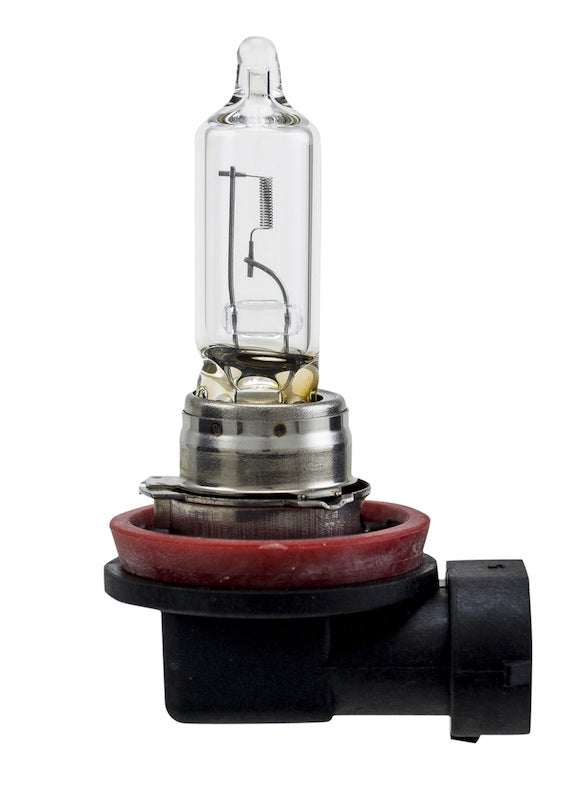 Hella H9 12V/65W Haologen Single Bulb 008357001
