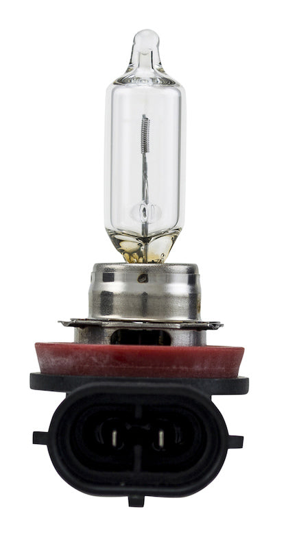 Hella H9 12V/65W Haologen Single Bulb 008357001