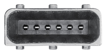 Hella Accelerator Pedal Sensor 009765701