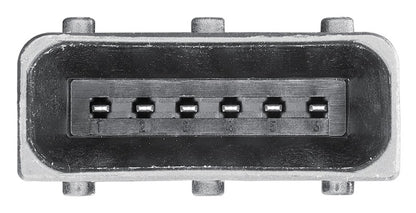 Hella Accelerator Pedal Sensor 009765701