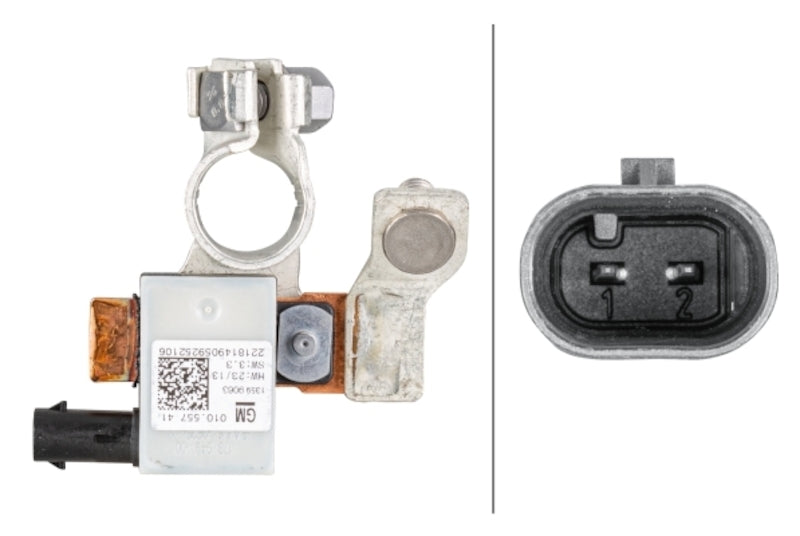 Hella Intelligent Battery Sensor (IBS) 010557481