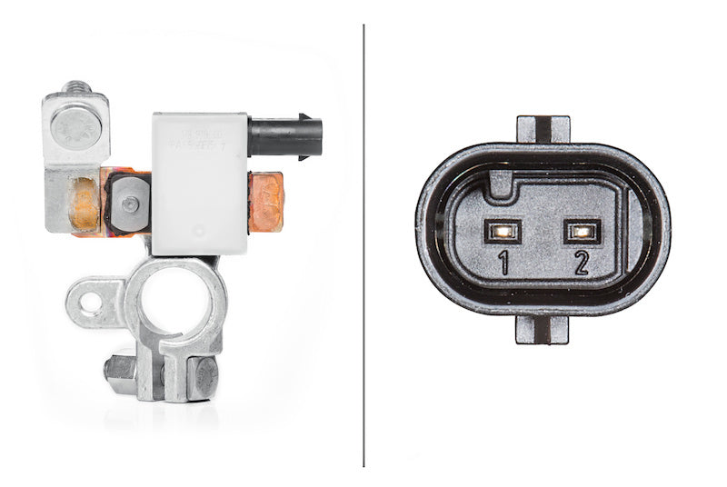 Hella Intelligent Battery Sensor (IBS) 010557901