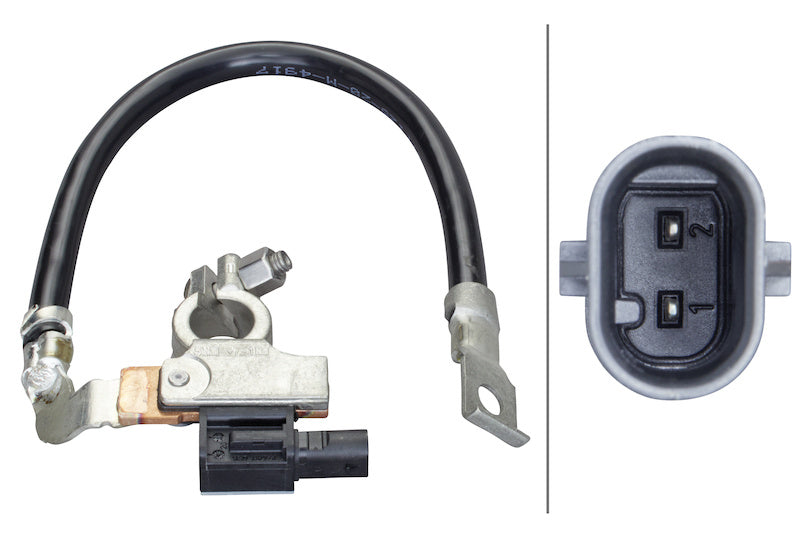 Hella Sensor, battery manage... 010561901