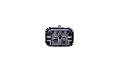 Hella Tail Light 013173531