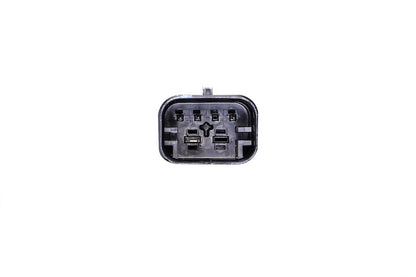 Hella Tail Light 013173541