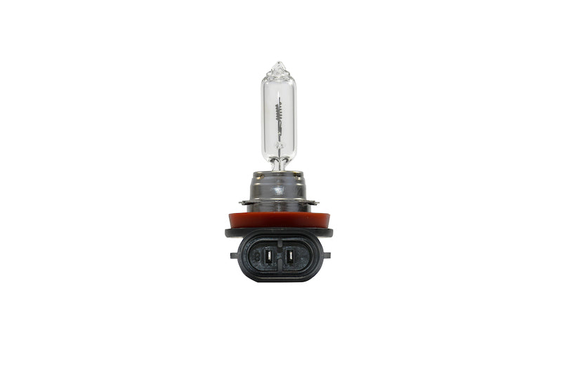 Hella Multi-Purpose Light Bulb 211730791 image 4