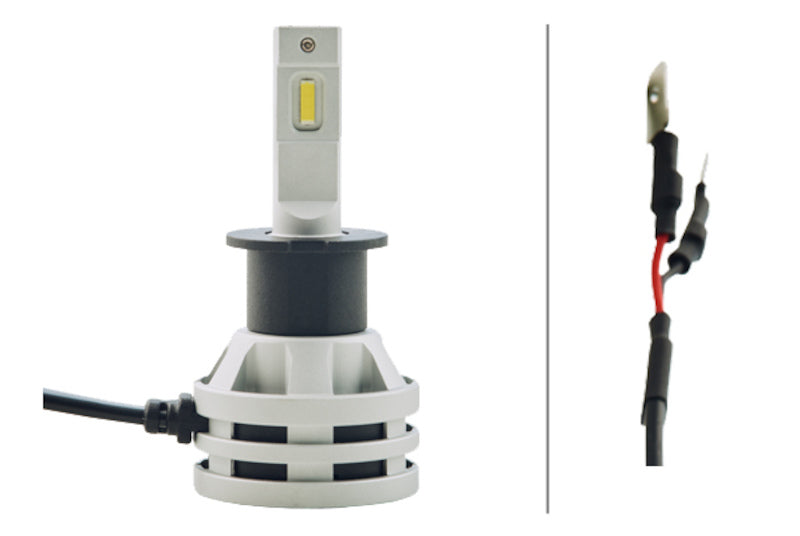 Hella Bulb H3 12/24V 19W Set of 2 226971511