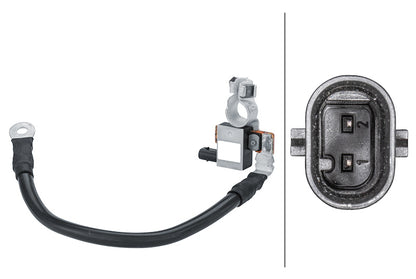 Hella Intelligent Battery Sensor (IBS) 358158001