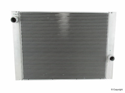 Behr Radiator