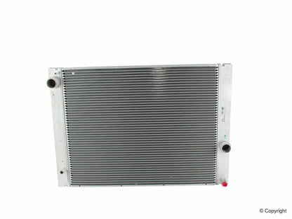 Behr Radiator