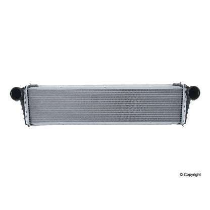 Behr Radiator