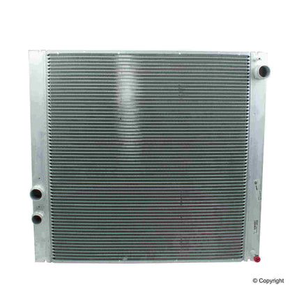 Behr Radiator