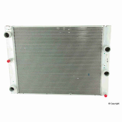 Behr Radiator