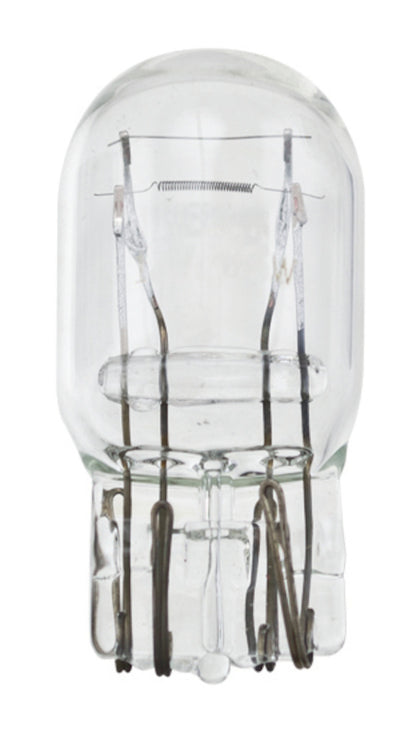 Hella Daytime Running Light Bulb 7443LL