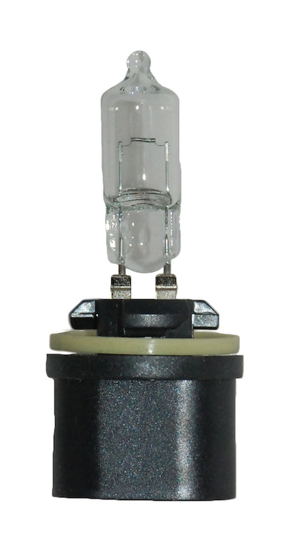 Hella Bulb 890 12V 27W Pg13 T325 890