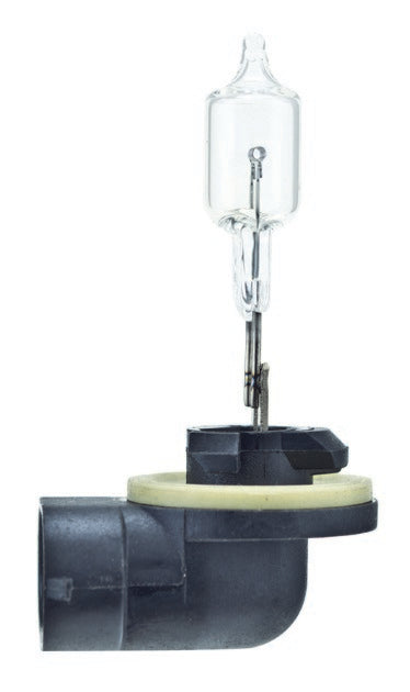 Hella Bulb 894 12V 375W Pgj13 T325 894