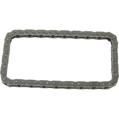 INA Engine Oil Pump Chain