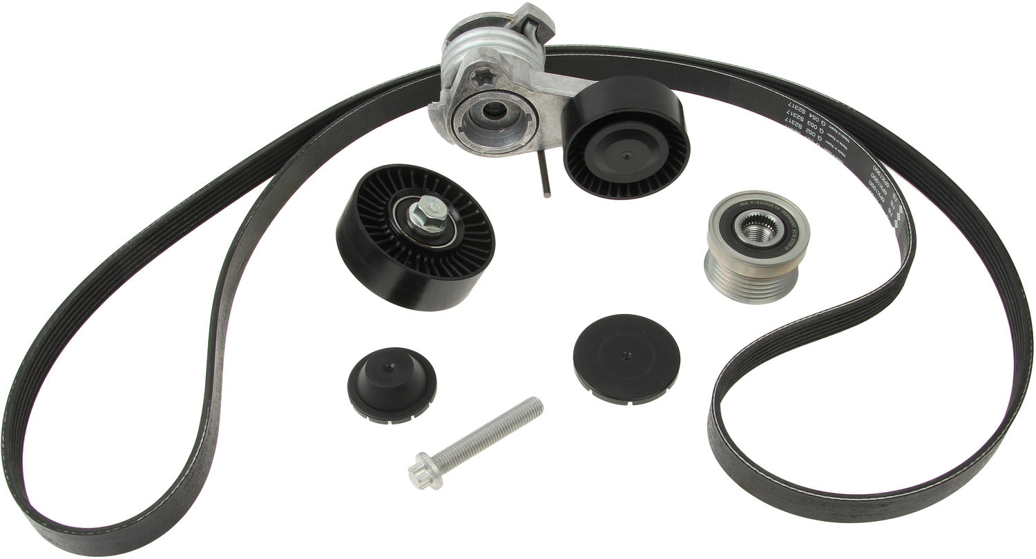 INA Serpentine Belt Drive Component Kit