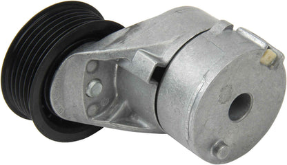 INA Belt Tensioner Assembly