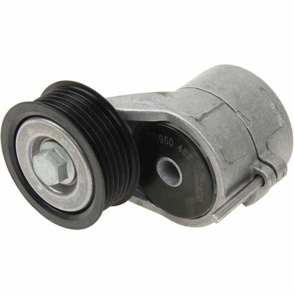 INA Belt Tensioner Assembly