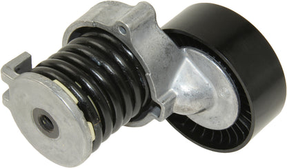 INA Belt Tensioner Assembly
