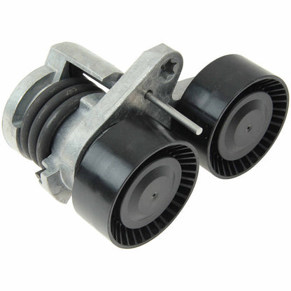 INA Belt Tensioner Assembly