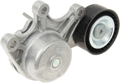 INA Belt Tensioner Assembly