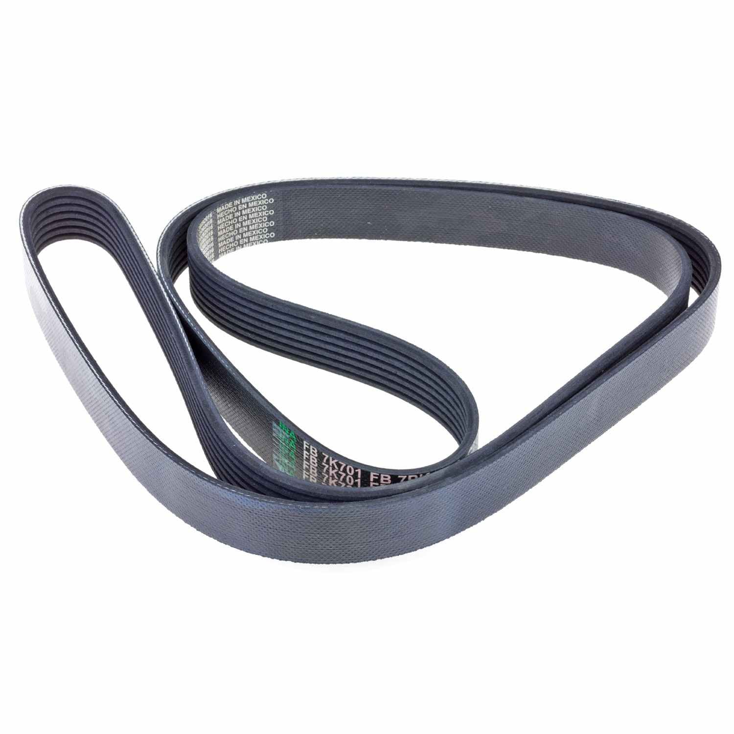 INA US Serpentine Belt FB7K701