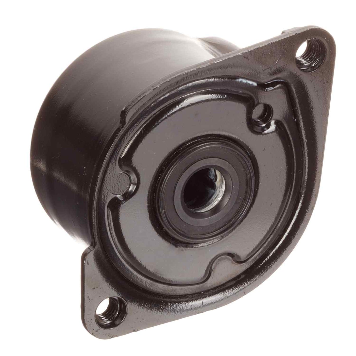 INA US Accessory Drive Belt Tensioner FT40170