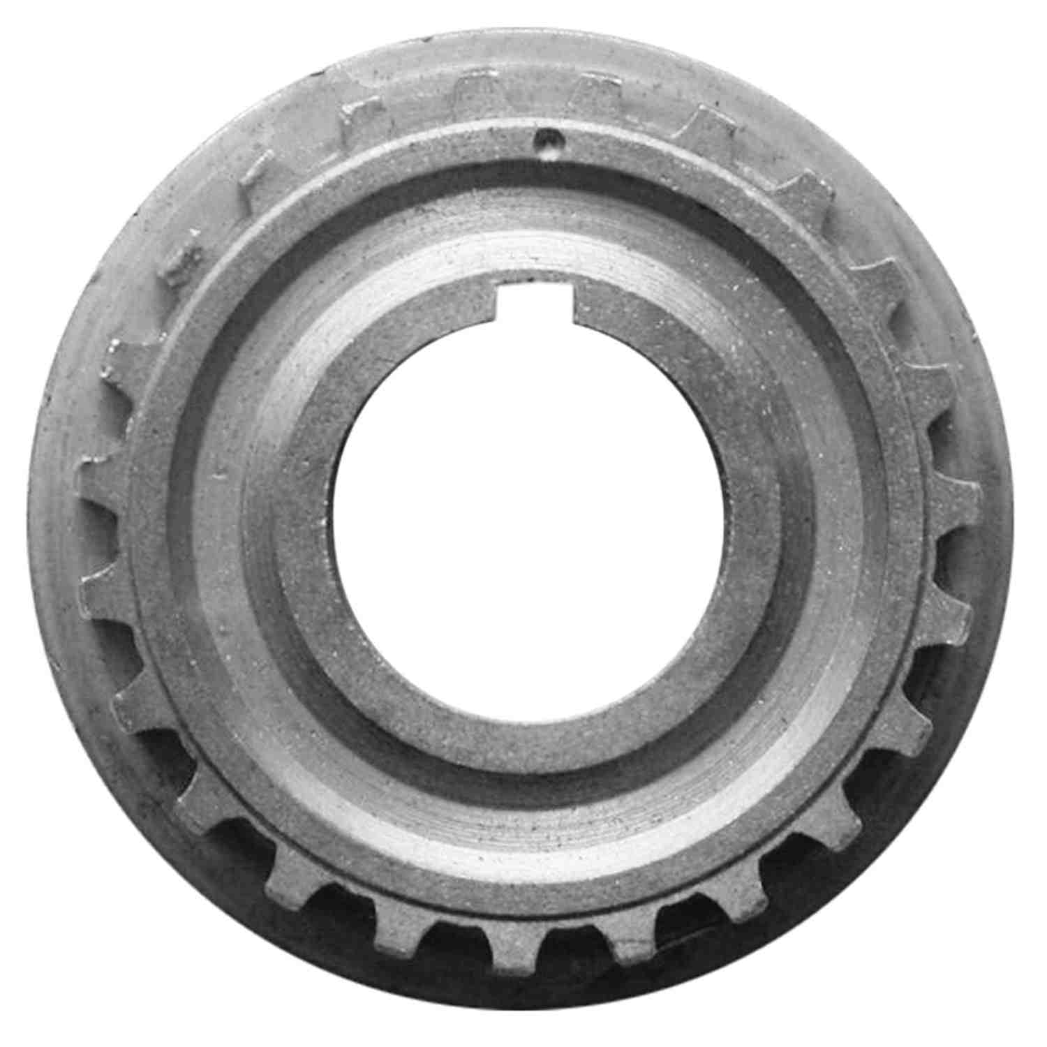 INA US Engine Timing Chain ZC0023