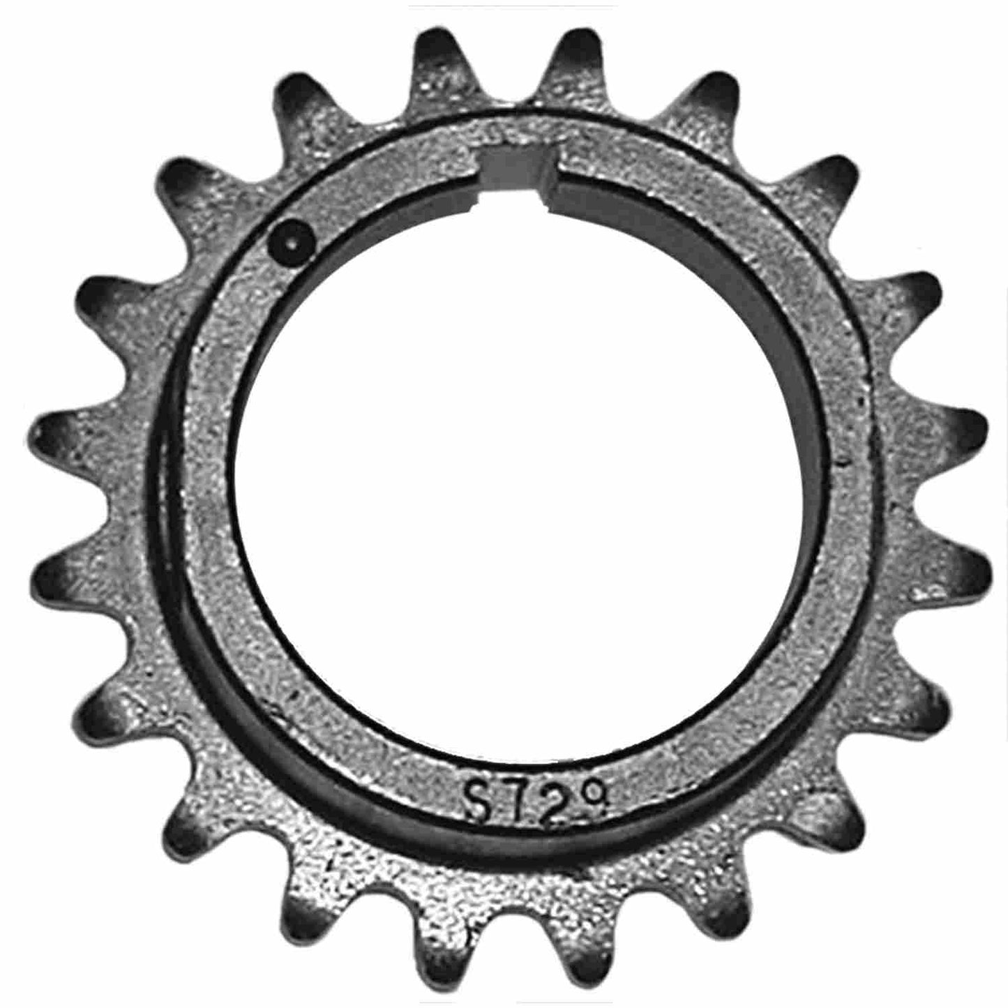 INA US Engine Oil Pump Chain ZC0107