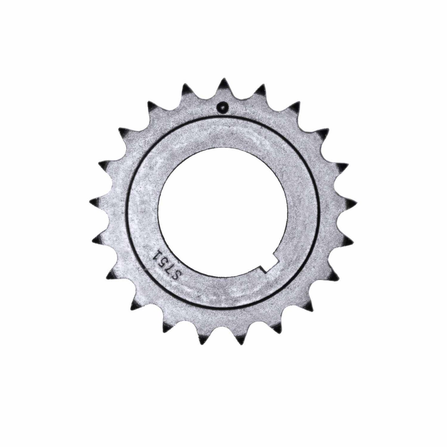 INA US Engine Oil Pump Chain ZC0128