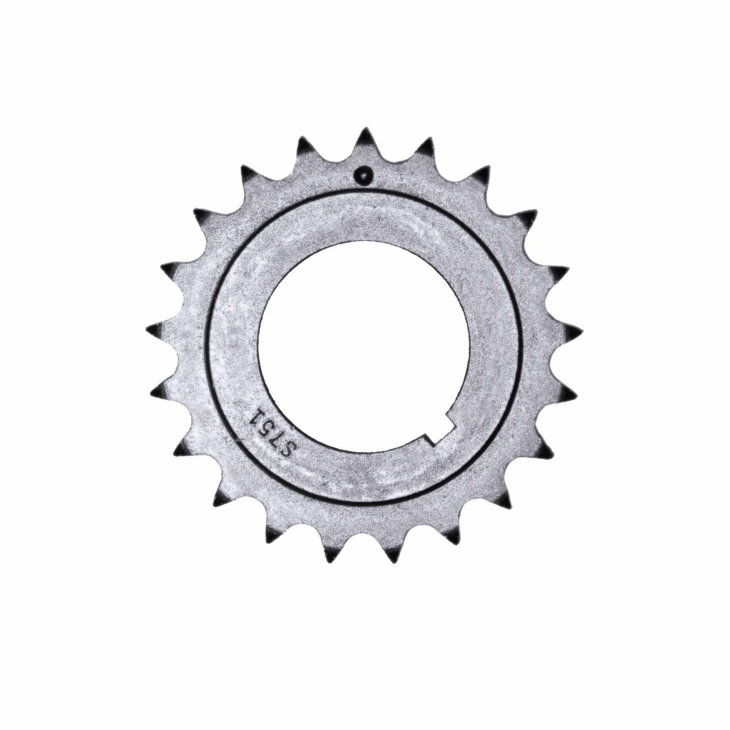 INA US Engine Oil Pump Chain ZC0128